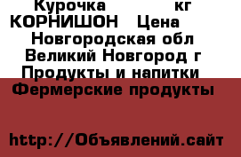 Курочка 0,5 — 0,7 кг. КОРНИШОН › Цена ­ 399 - Новгородская обл., Великий Новгород г. Продукты и напитки » Фермерские продукты   